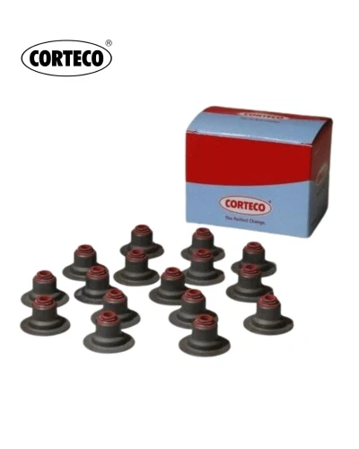 اويل سيل صباب - كورتيجو