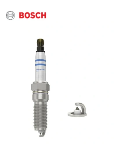 طقم بوجيه - انسيجنيا - بوش