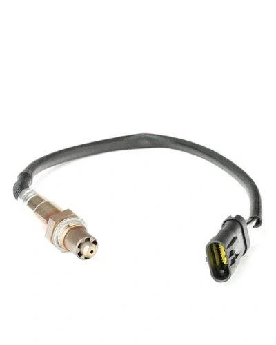 حساس شكمان - ميجان 2007 2 - UK