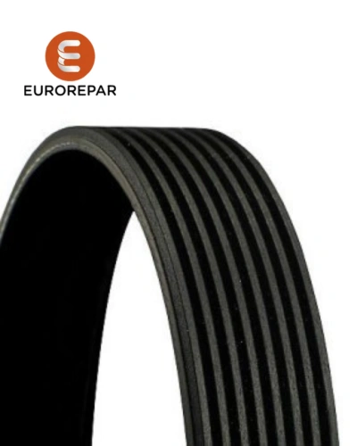 سير مجموعهF10 - 8PK1478 - كونتي